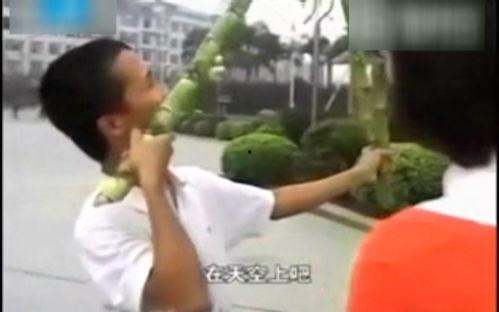 甘蔗搞笑新闻